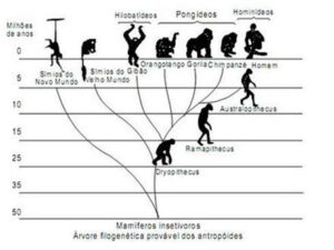 Read more about the article A Evolução dos Artefatos ao Longo da História