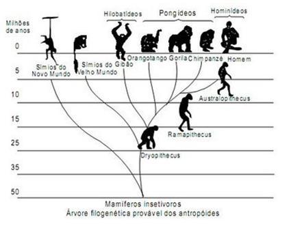 A Evolução dos Artefatos ao Longo da História